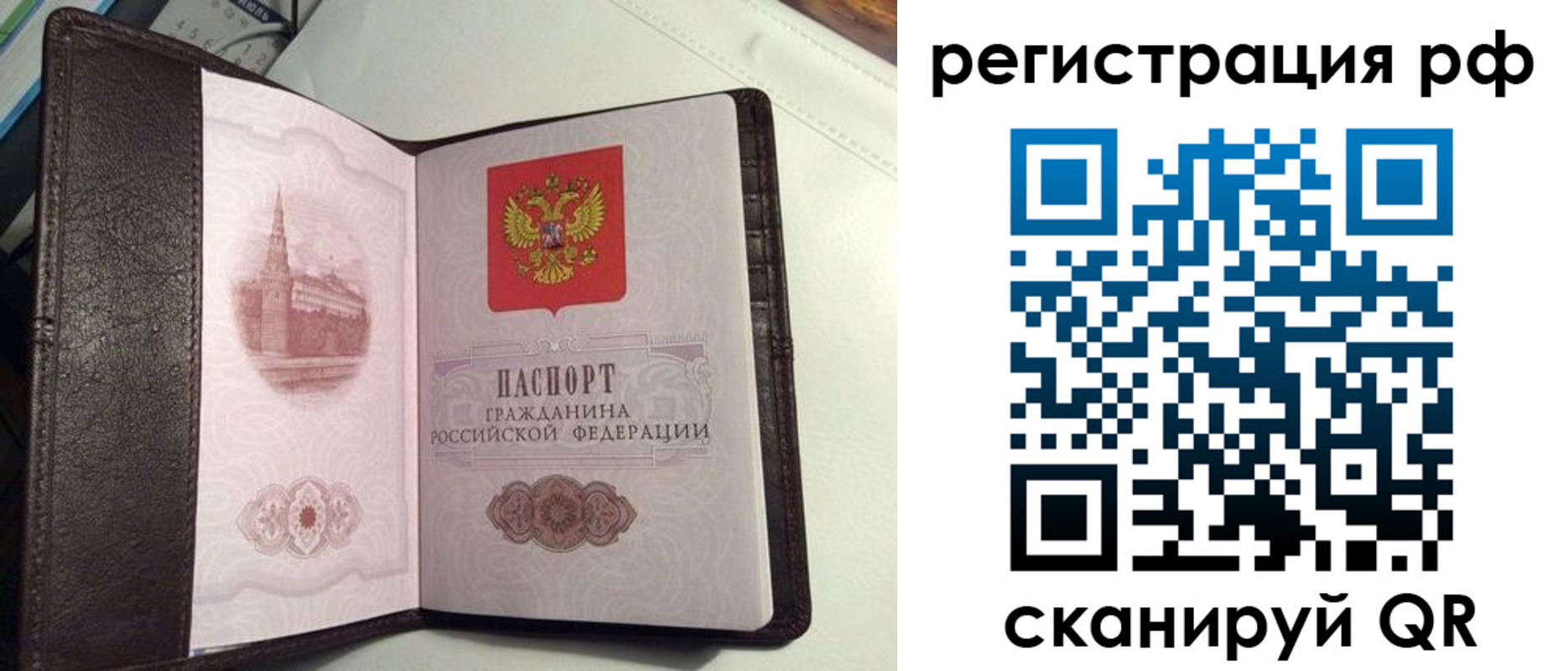 купить прописку в Саратовской области